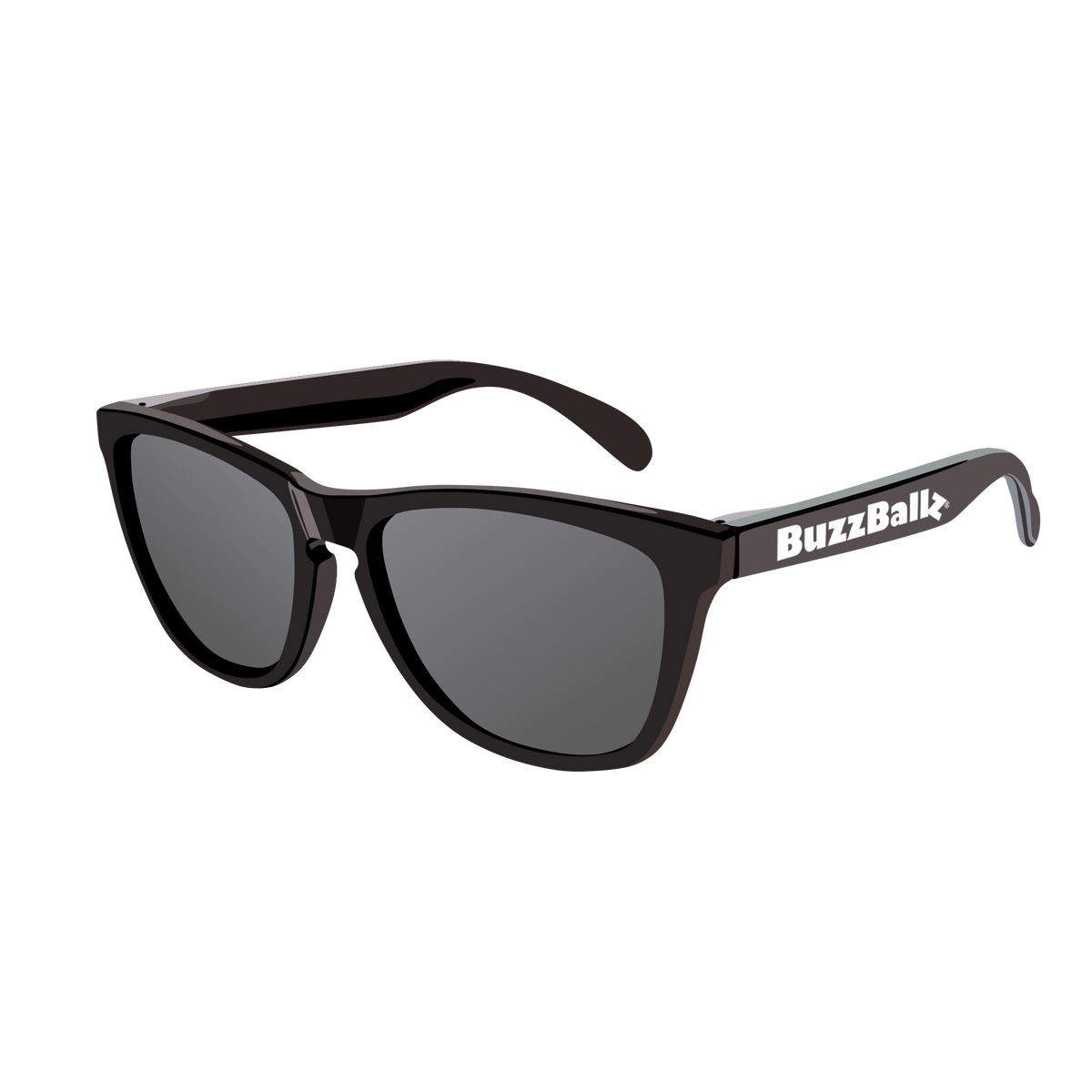 Sunglasses (Points 10,000)